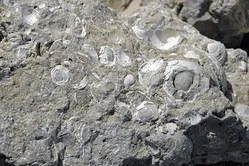 Soil Cementation Image